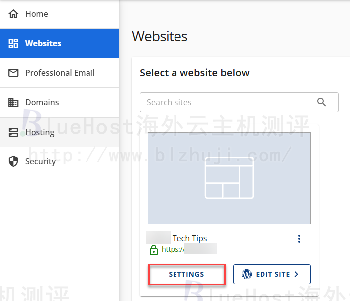 Websites选项卡